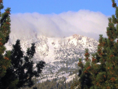 The Mammoth Creek Inn image 9