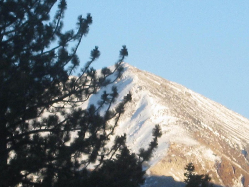 The Mammoth Creek Inn Image 13