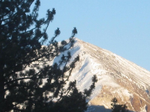 The Mammoth Creek Inn image 13